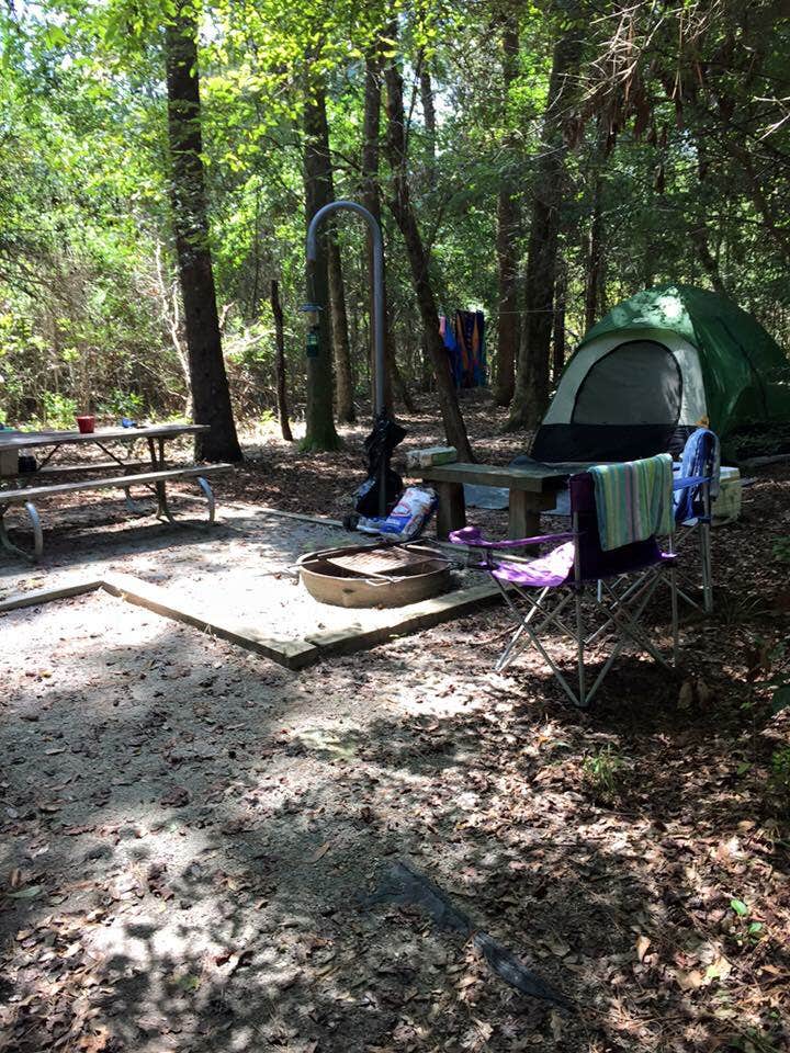 Melanie  C.'s photo at Village Creek State Park Campground near Sabine Pass, TX