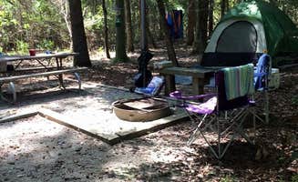 Melanie C.'s photo at Village Creek State Park Campground near Village Mills, TX