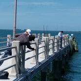 Review photo of Fort De Soto Campground by Dale G., July 29, 2020