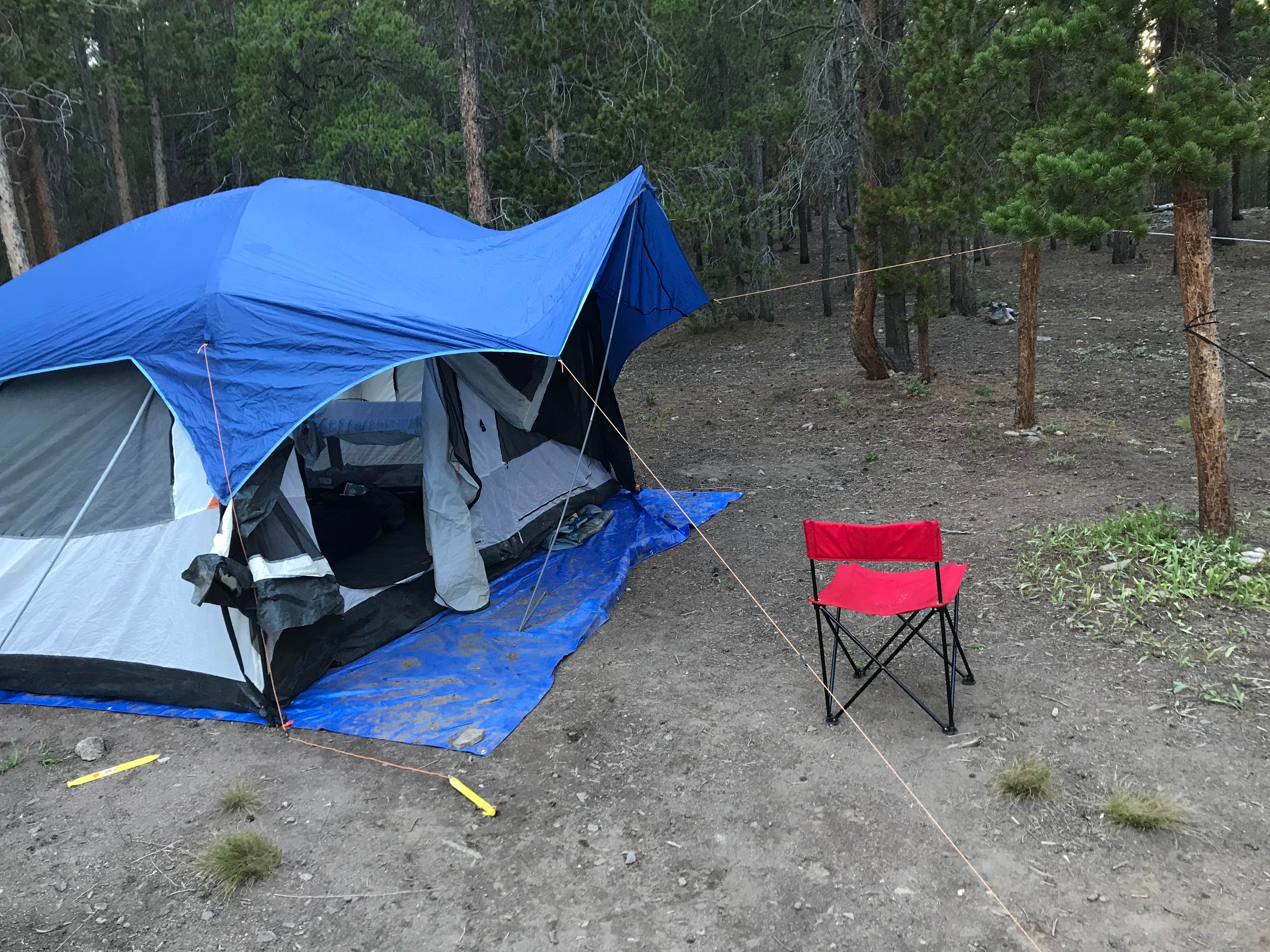 Camper submitted image from Columbine Campground - Outside of Denver - 4