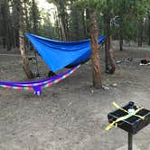 Review photo of Columbine Campground - Outside of Denver by Dylan W., July 29, 2020