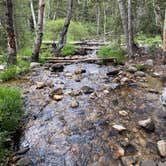 Review photo of Baker Creek Campground — Great Basin National Park by Sam B., July 29, 2020