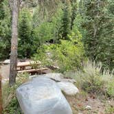 Review photo of Baker Creek Campground — Great Basin National Park by Sam B., July 29, 2020