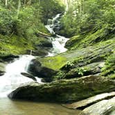 Review photo of Black Mountain Campground - CLOSED INDEFINITELY by Katy S., July 29, 2020