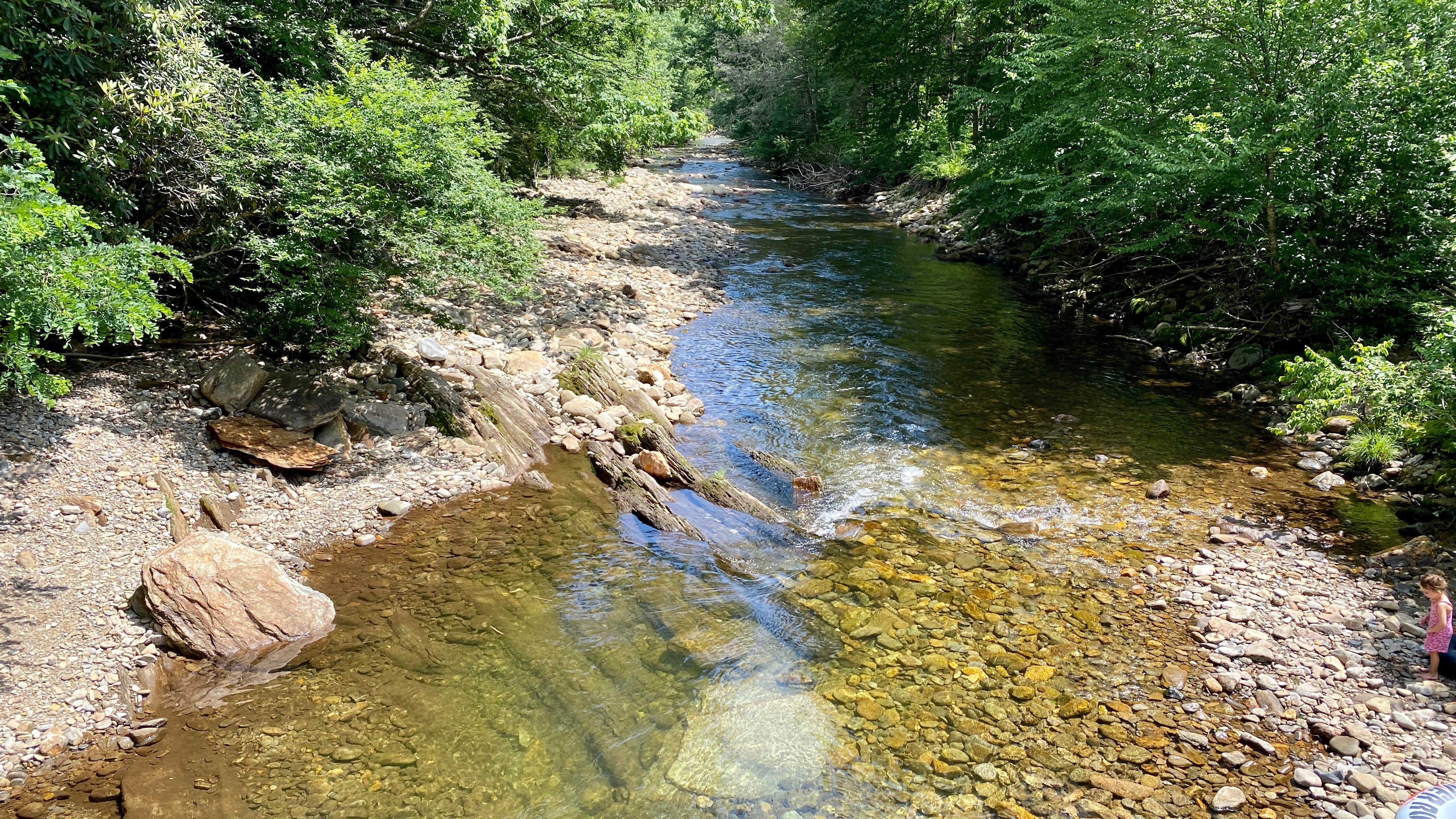 Black Mountain Campground The Dyrt