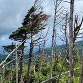 Review photo of Black Mountain Campground - CLOSED INDEFINITELY by Katy S., July 29, 2020