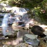 Review photo of Black Mountain Campground - CLOSED INDEFINITELY by Katy S., July 29, 2020