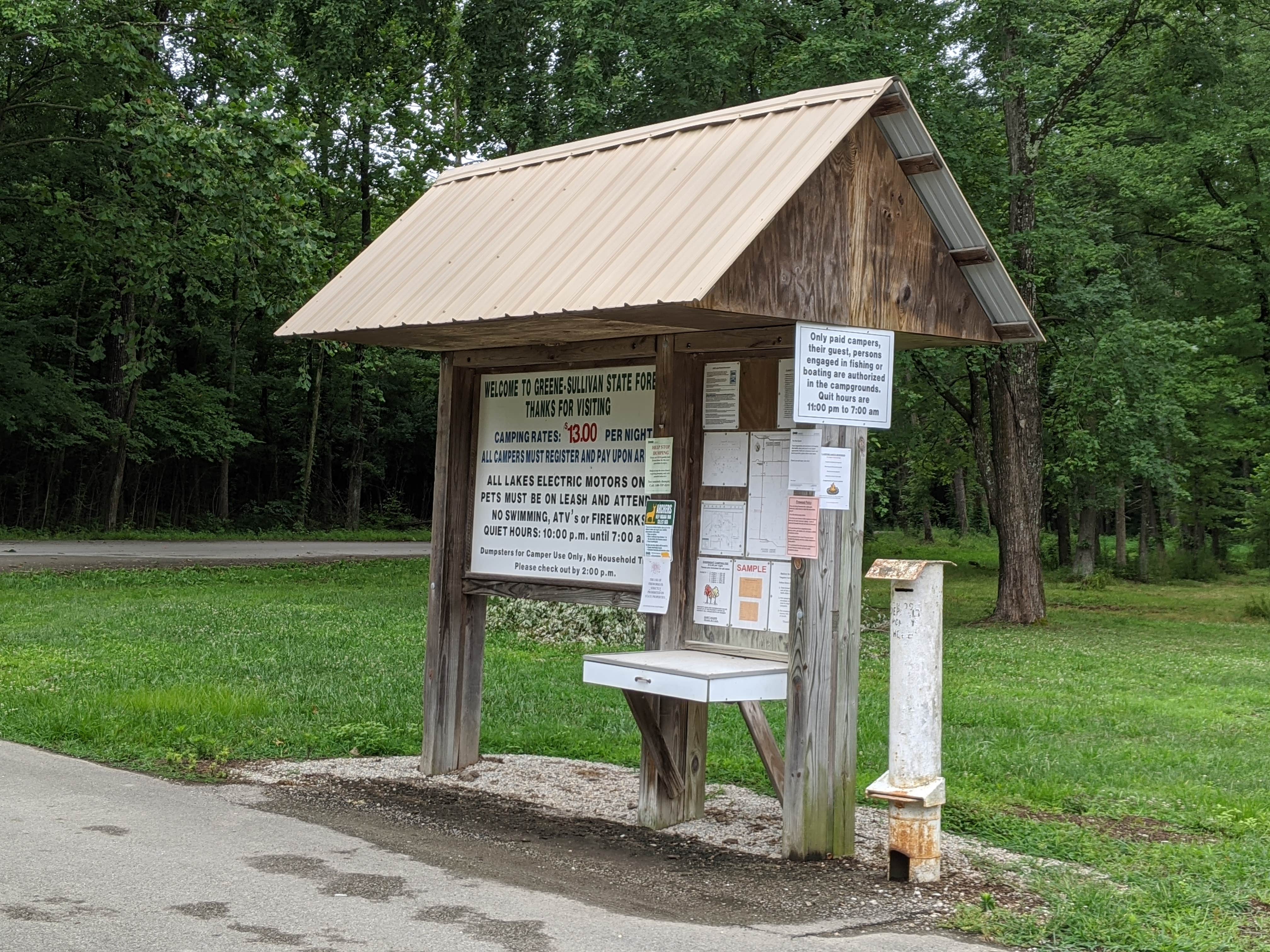 Camper submitted image from Greene Sullivan State Forest - 5