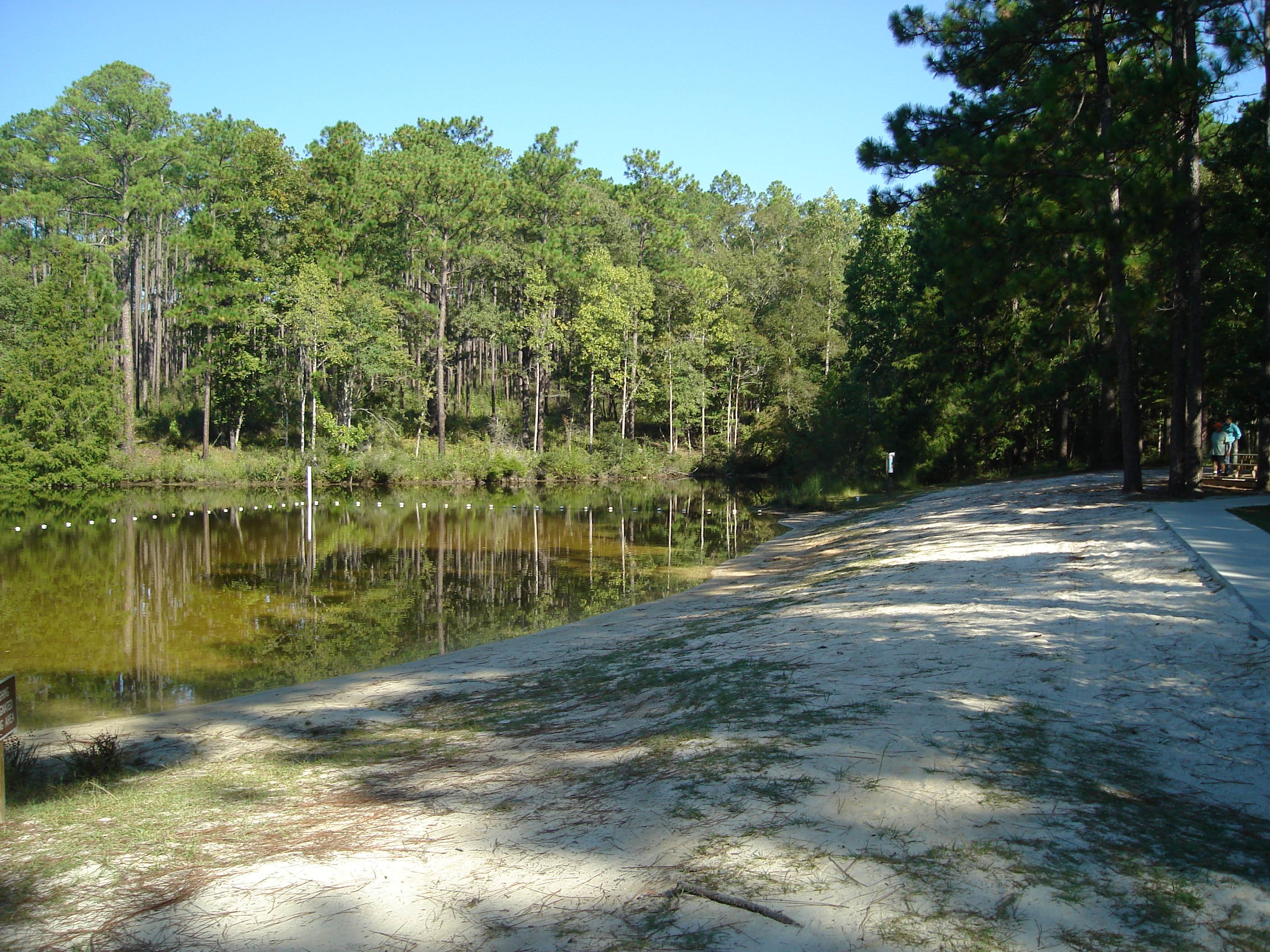 Camper-submitted photo at Falling Waters State Park Campground near Westville, FL