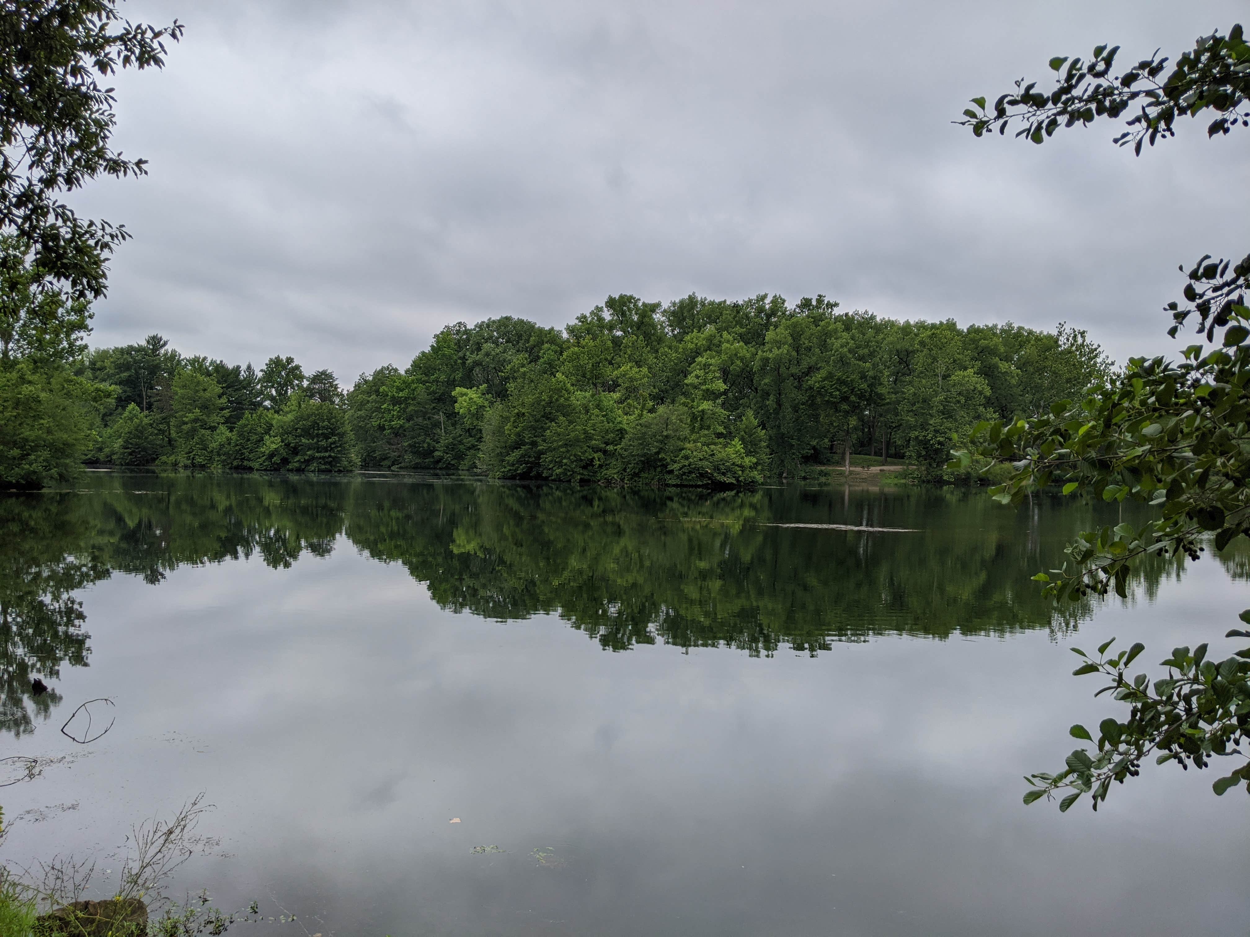 Camper-submitted photo at Narrow Lake Campground — Greene Sullivan State Forest near Loogootee, IN