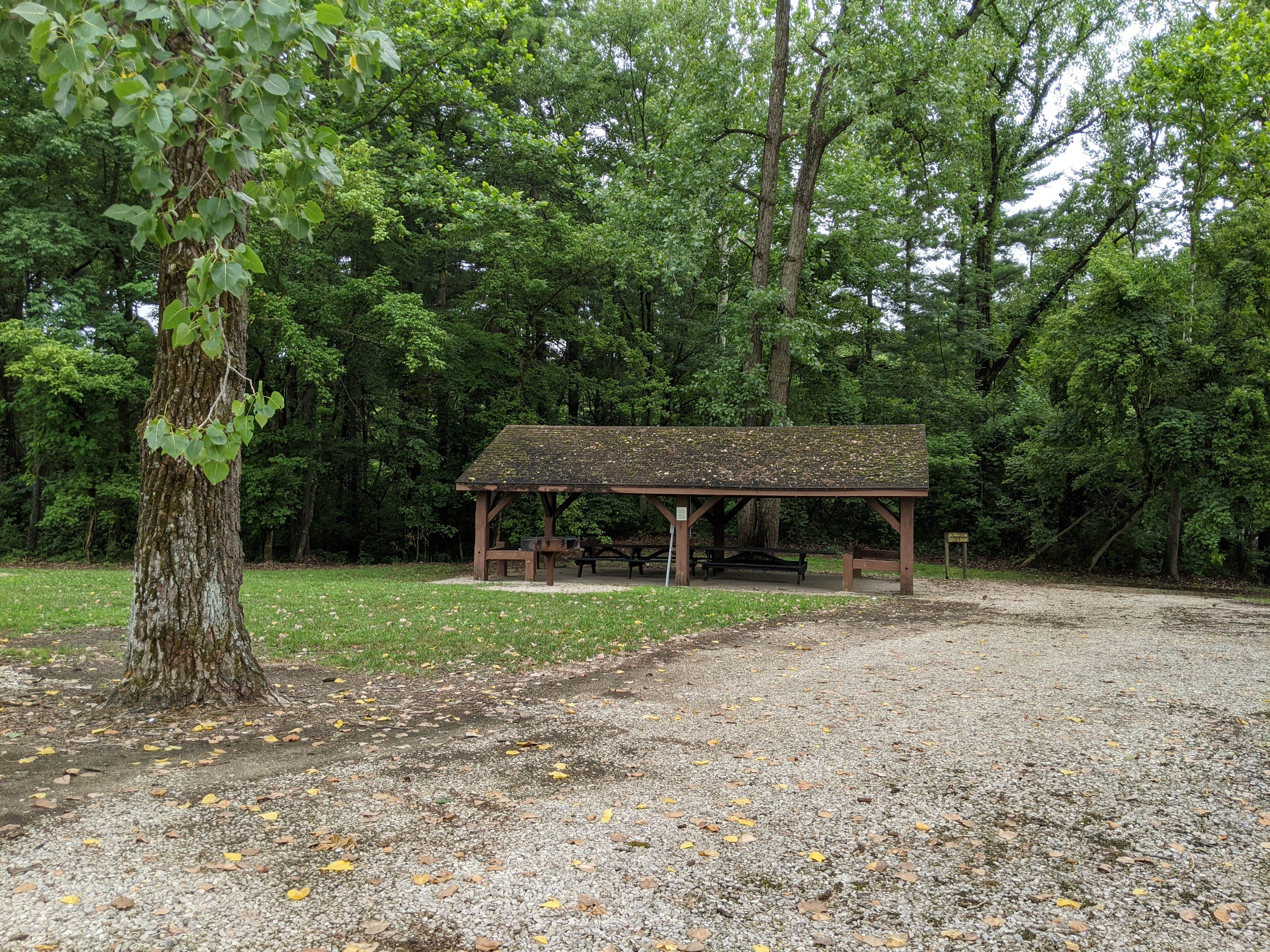 Camper submitted image from Greene Sullivan State Forest - 1