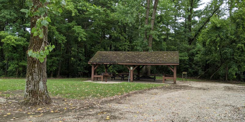 Camper submitted image from Narrow Lake Campground — Greene Sullivan State Forest