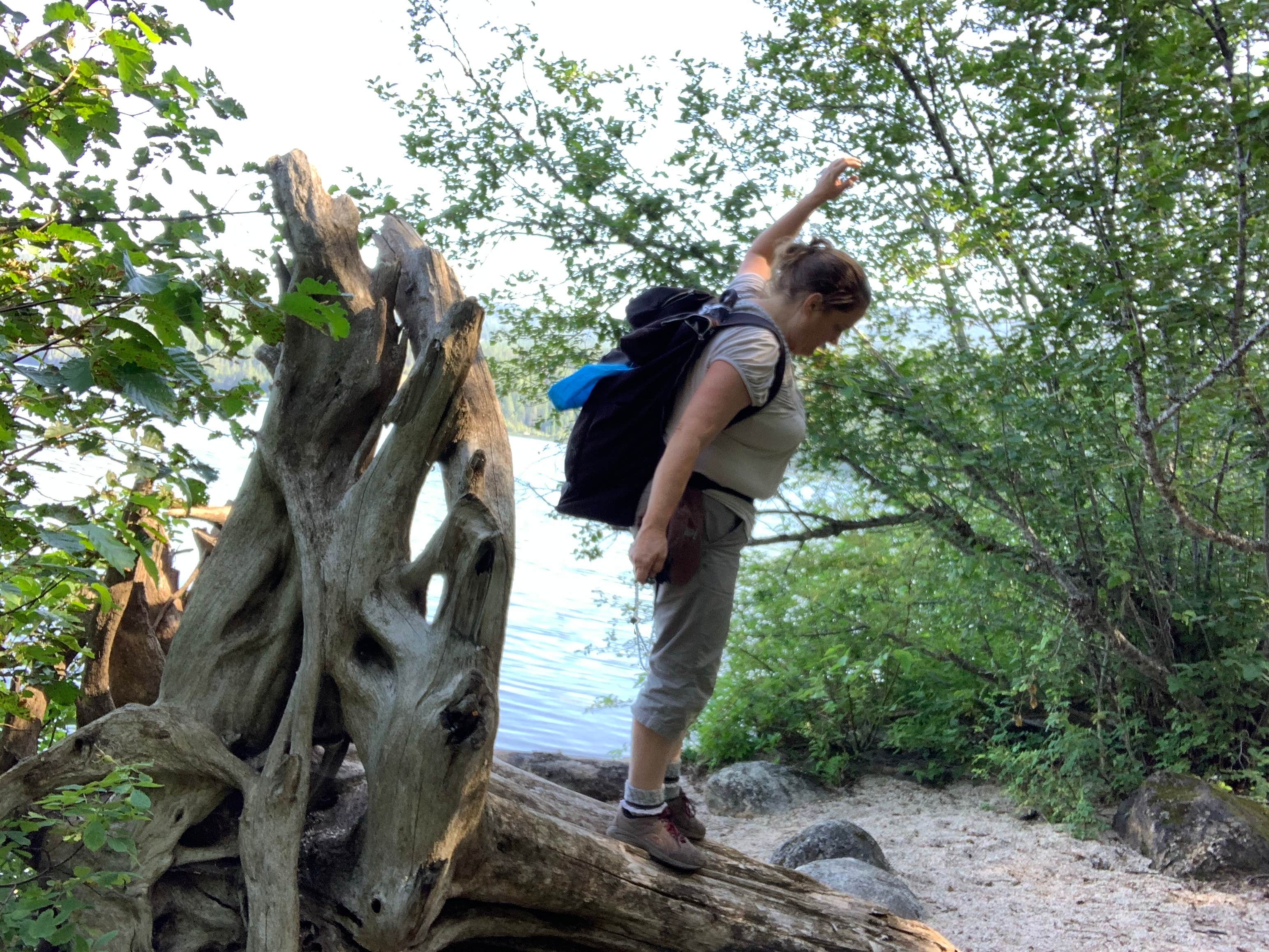 Camping near Dirt Oven Campground: Plowboy Campground, Nordman, Idaho