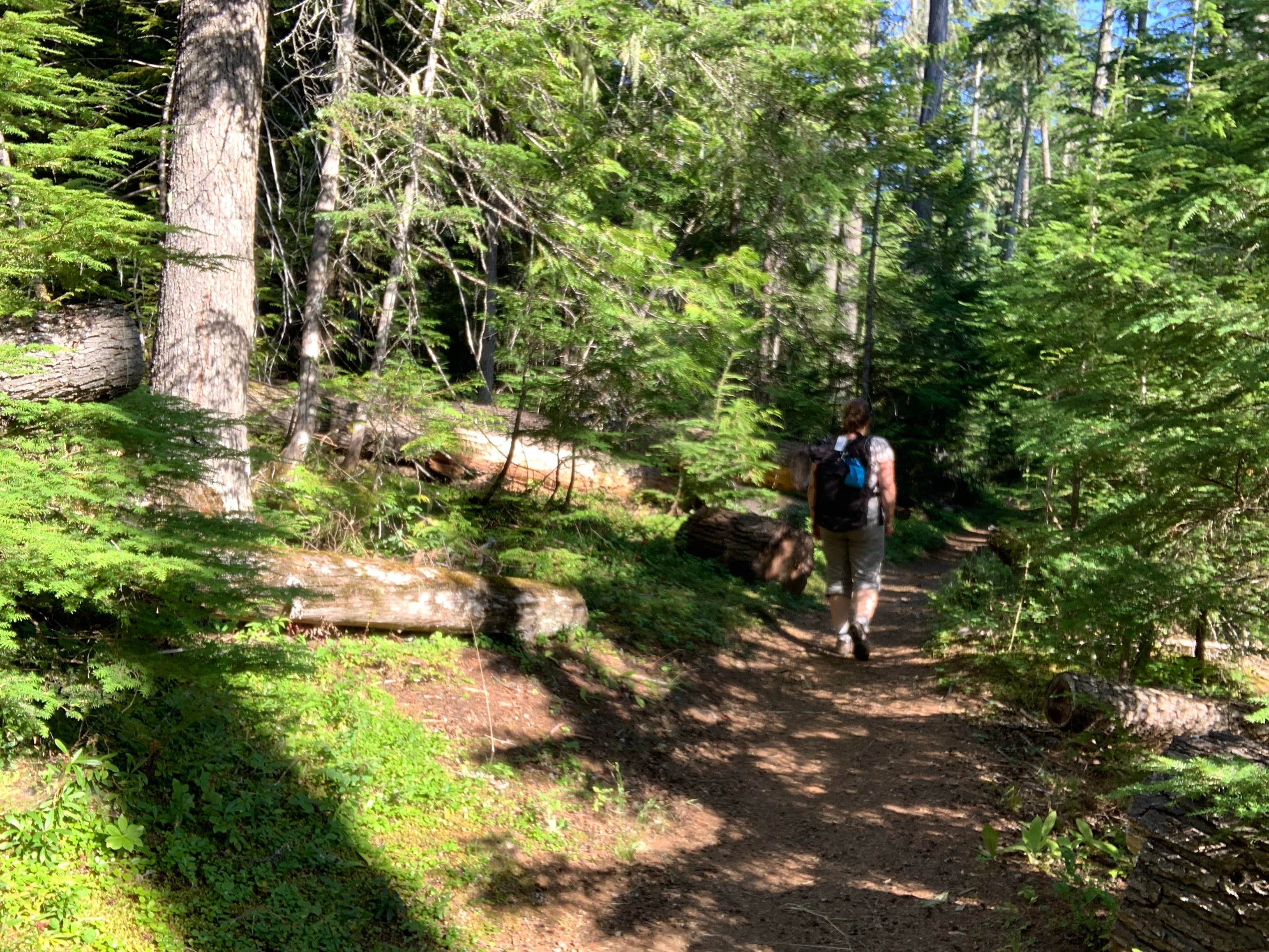 Camper-submitted photo at Plowboy Campground near Porthill, ID