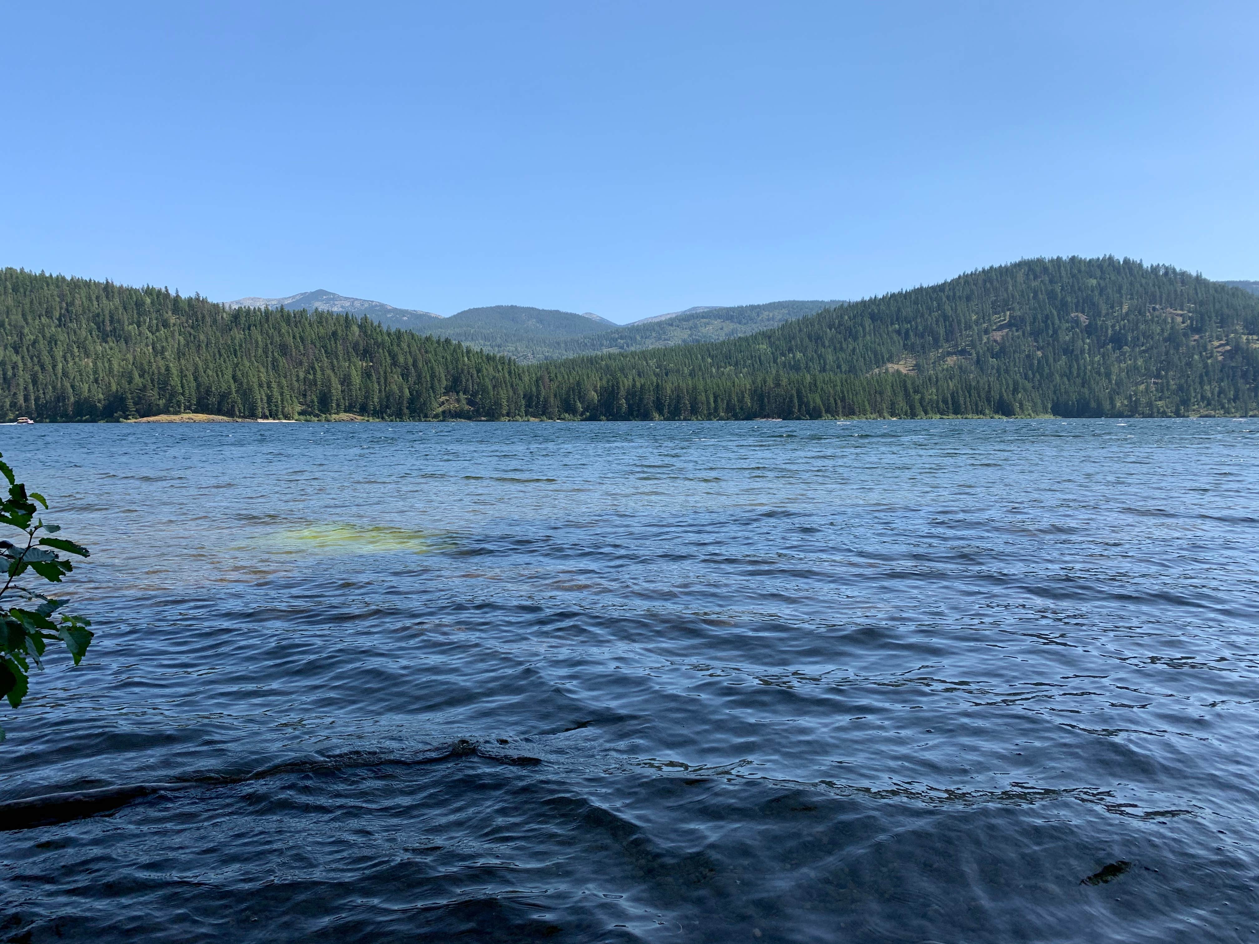 Camper-submitted photo at Navigation Campground near Bonners Ferry, ID