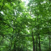 Review photo of Lowden State Park Campground by John W., July 29, 2020