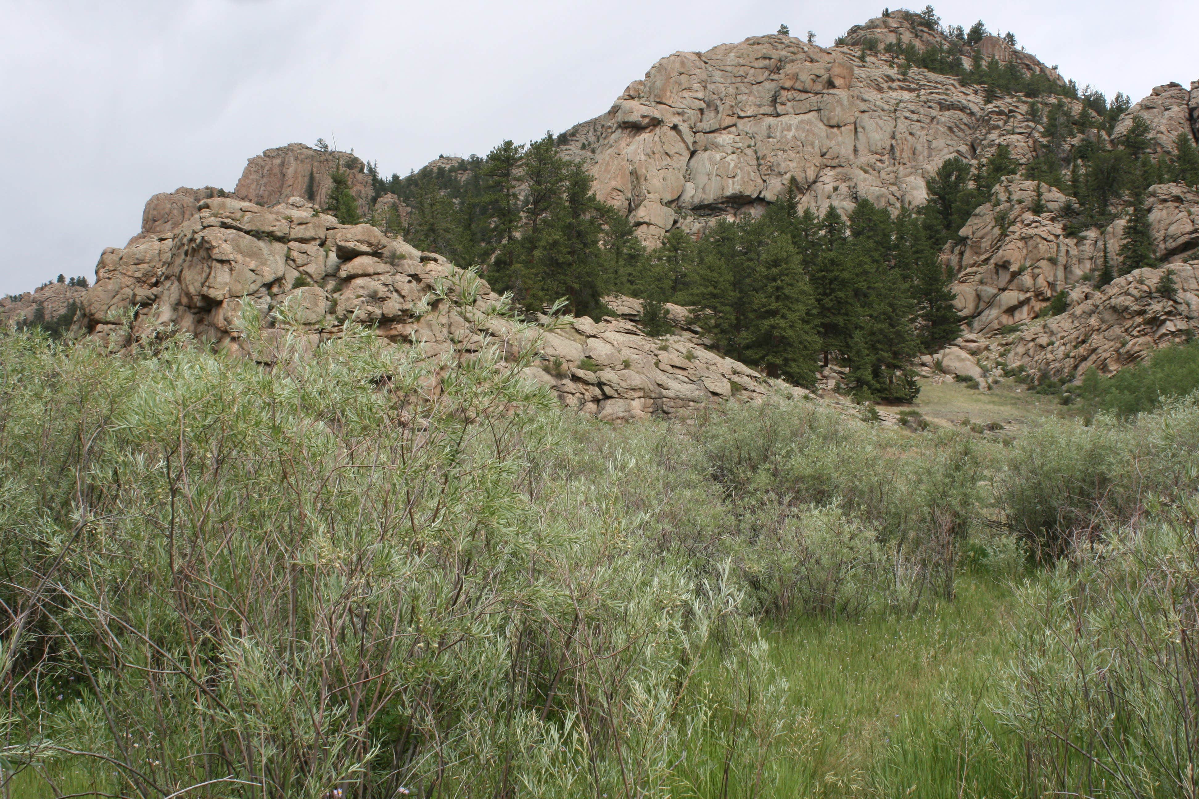 Camper-submitted photo at Springer Gulch near Pike and San Isabel National Forests and Cimarron and Comanche National Grasslands