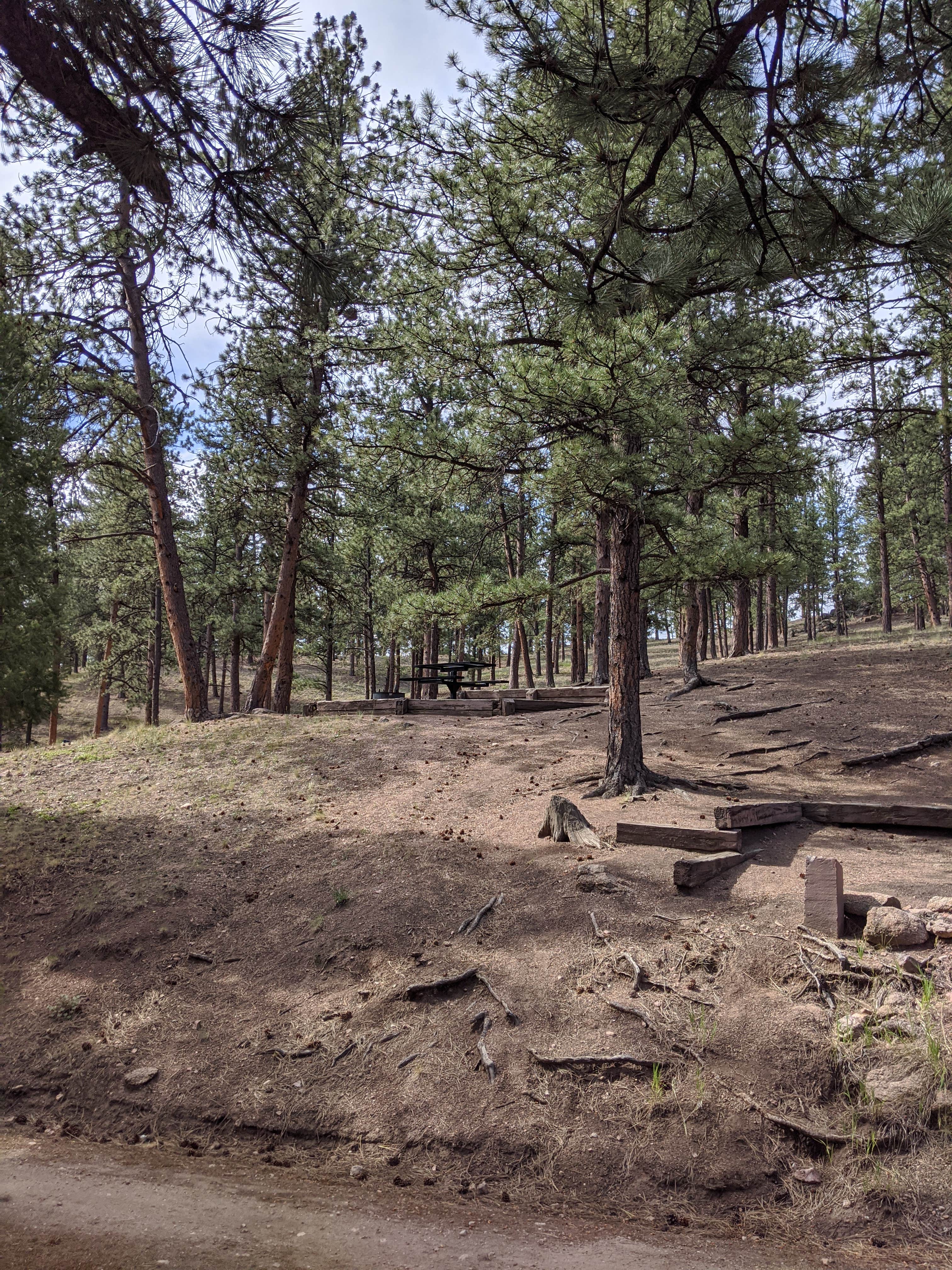 Camper-submitted photo at Springer Gulch near Pike and San Isabel National Forests and Cimarron and Comanche National Grasslands