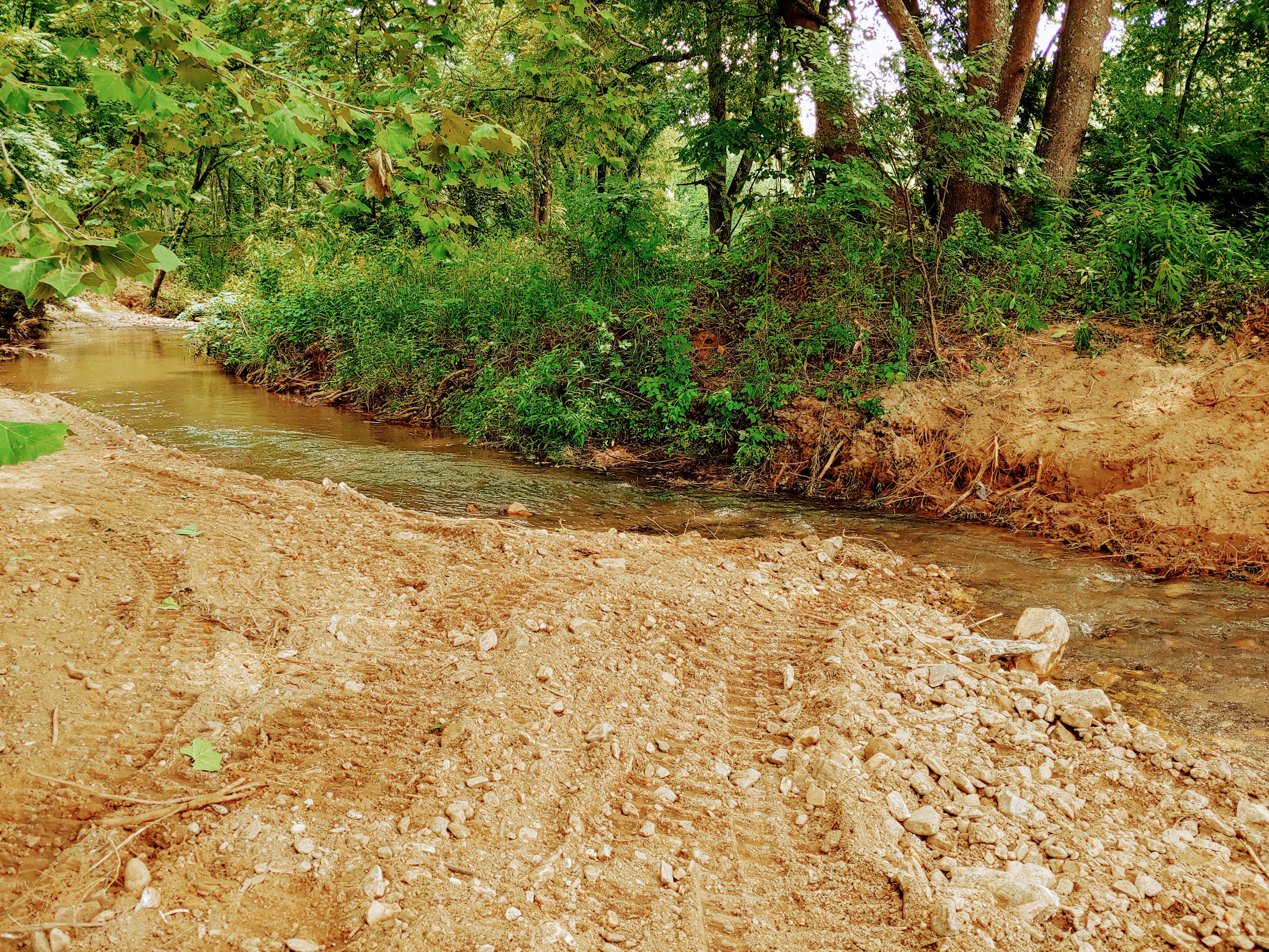 Camper-submitted photo at Celtic Camp near Pisgah National Forest