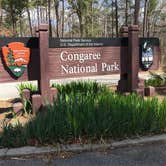 Review photo of Longleaf Campground — Congaree National Park by Wabu W., March 30, 2018