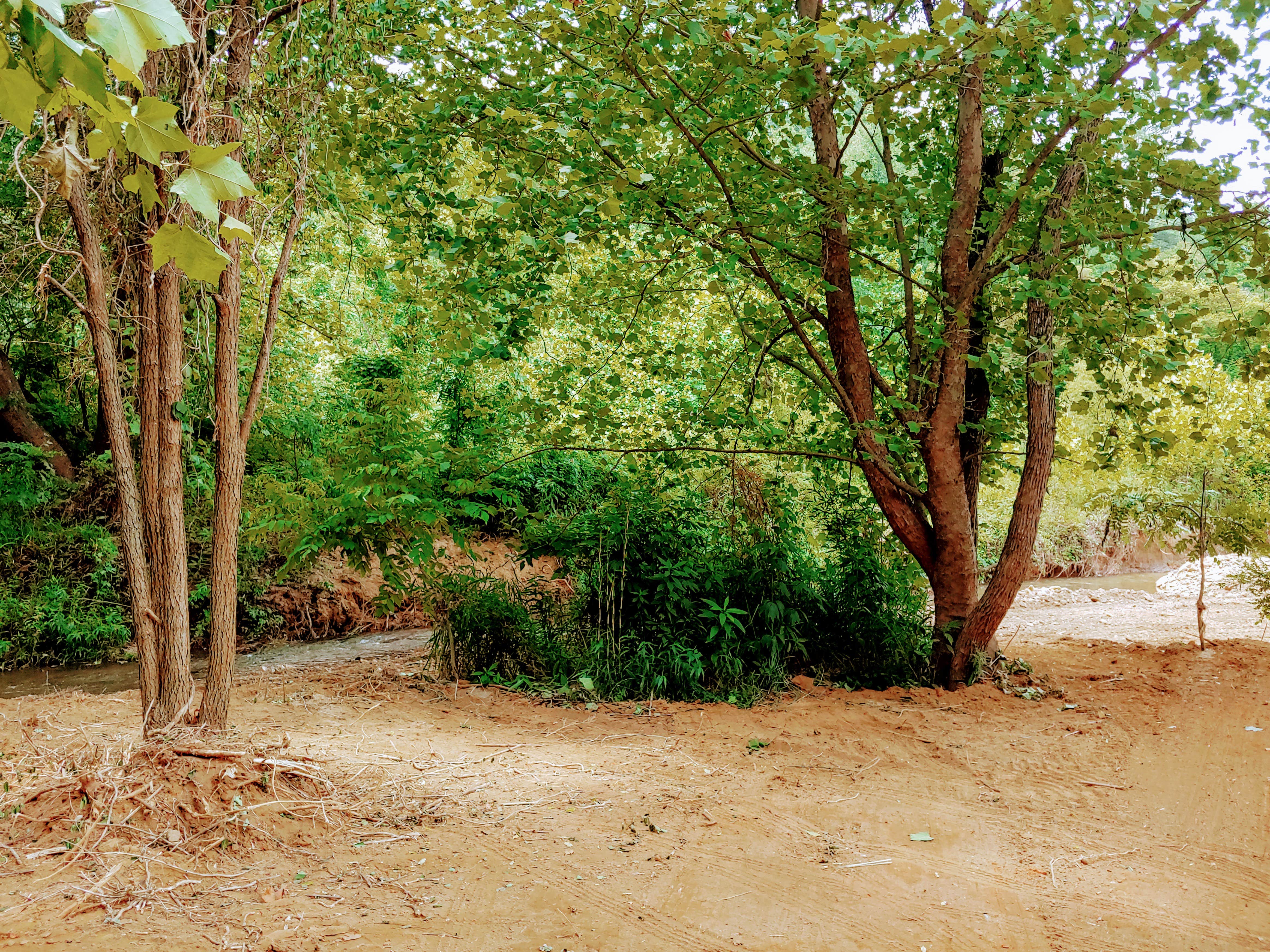 Camper-submitted photo at Celtic Camp near Pisgah National Forest