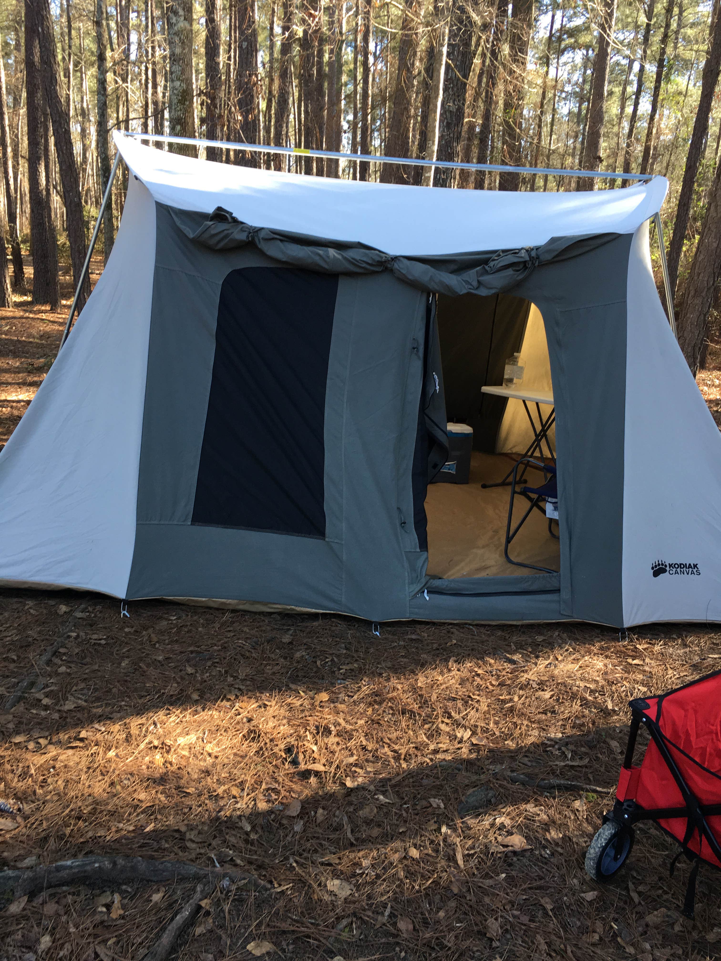 Wabu W.'s photo at Longleaf Campground — Congaree National Park near Pelion, SC