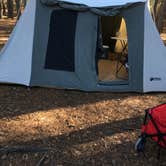 Review photo of Longleaf Campground — Congaree National Park by Wabu W., March 30, 2018