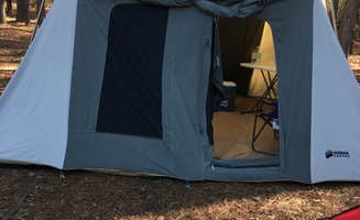 Wabu W.'s photo at Longleaf Campground — Congaree National Park near West Columbia, SC