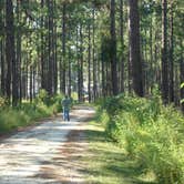 Review photo of Falling Waters State Park Campground by Jeanene A., July 4, 2016