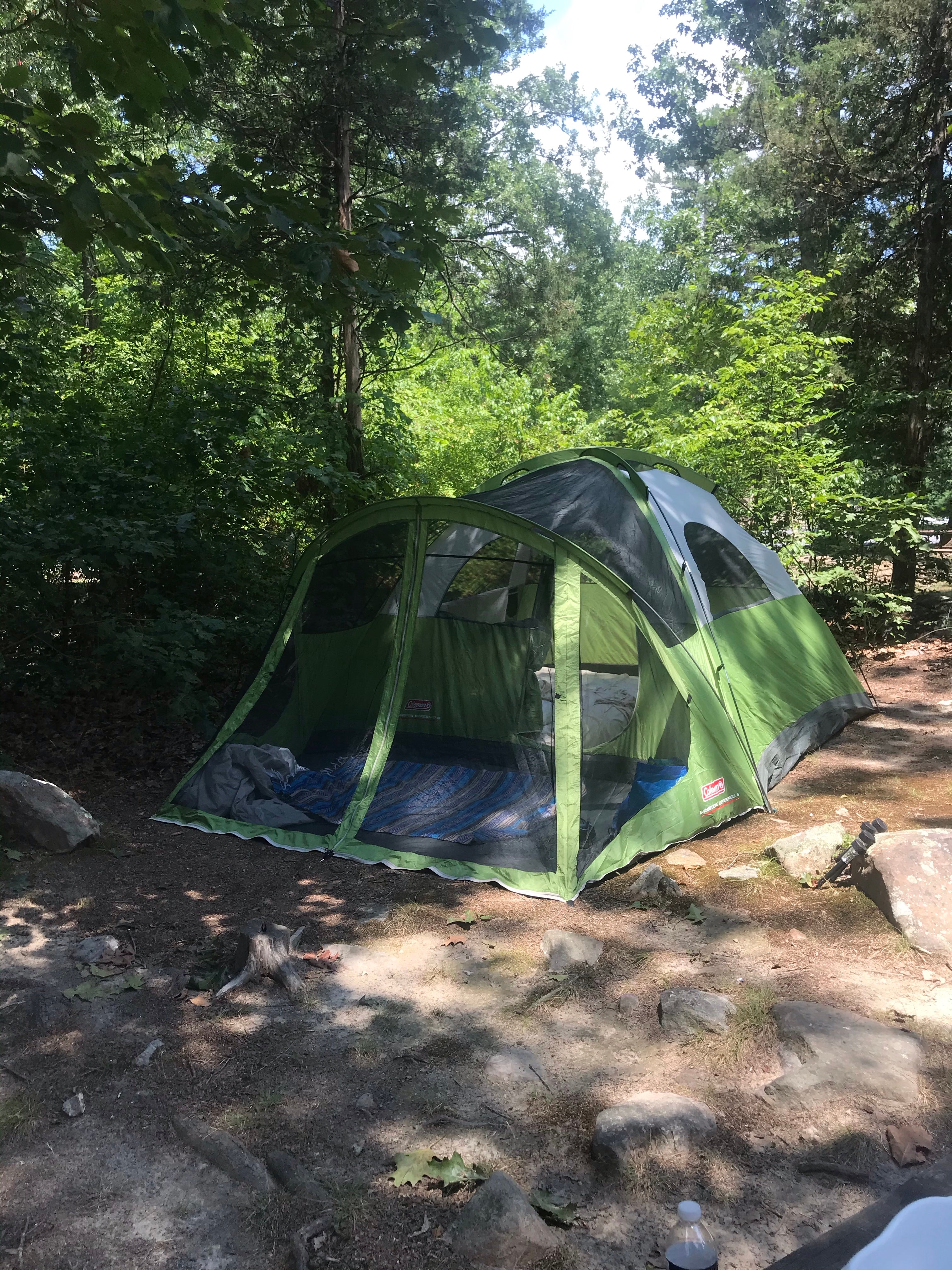 Camper submitted image from Harrisonburg - Shenandoah Valley KOA - 4