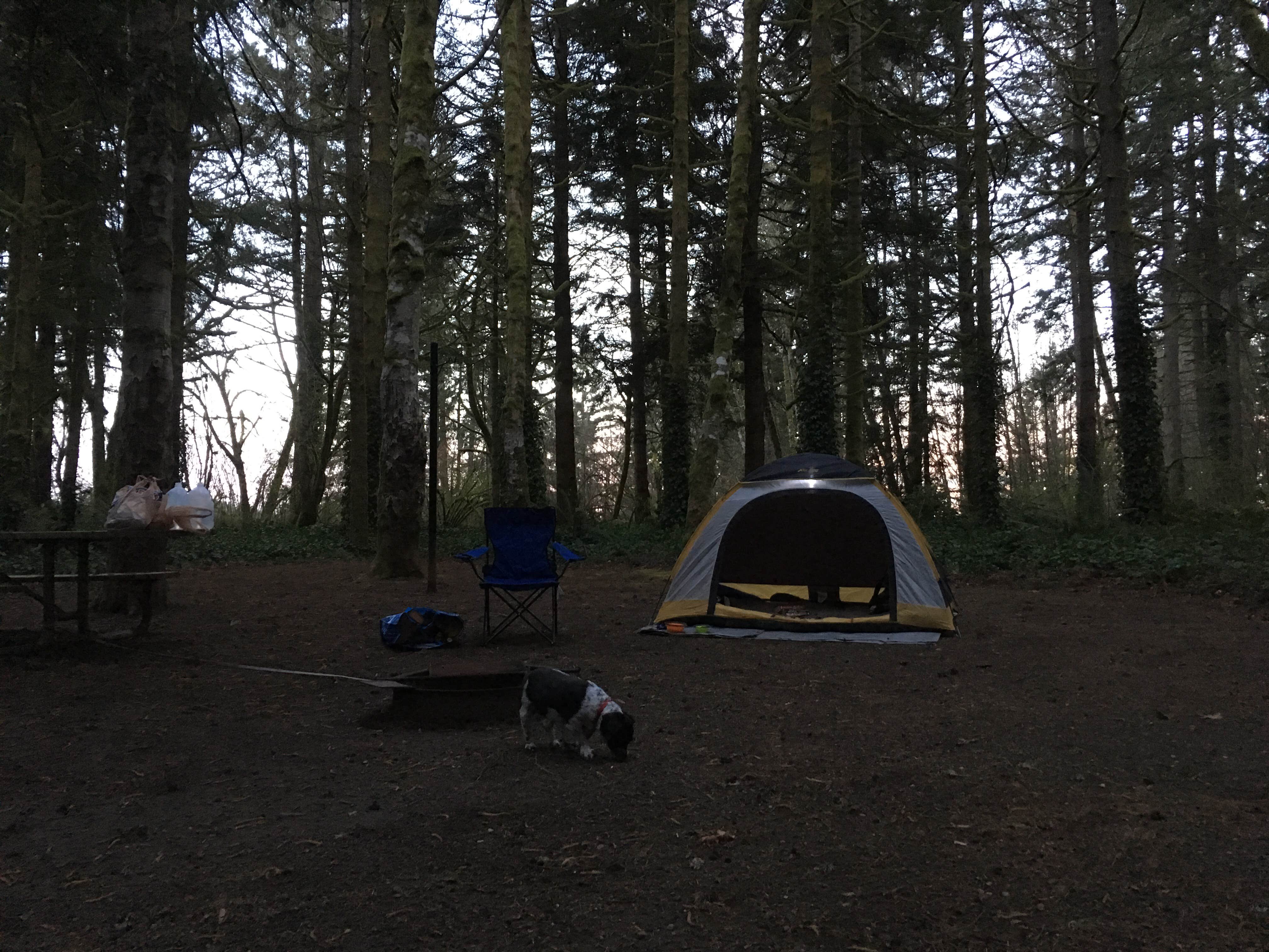 Salem L.'s photo at Battle Ground Lake State Park Campground near Ariel, WA
