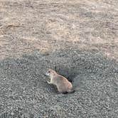 Review photo of Sage Creek Campground by Lucille W., July 27, 2020