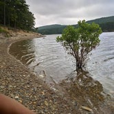 Review photo of Lake Ouachita State Park Campground by Calina K., July 29, 2020