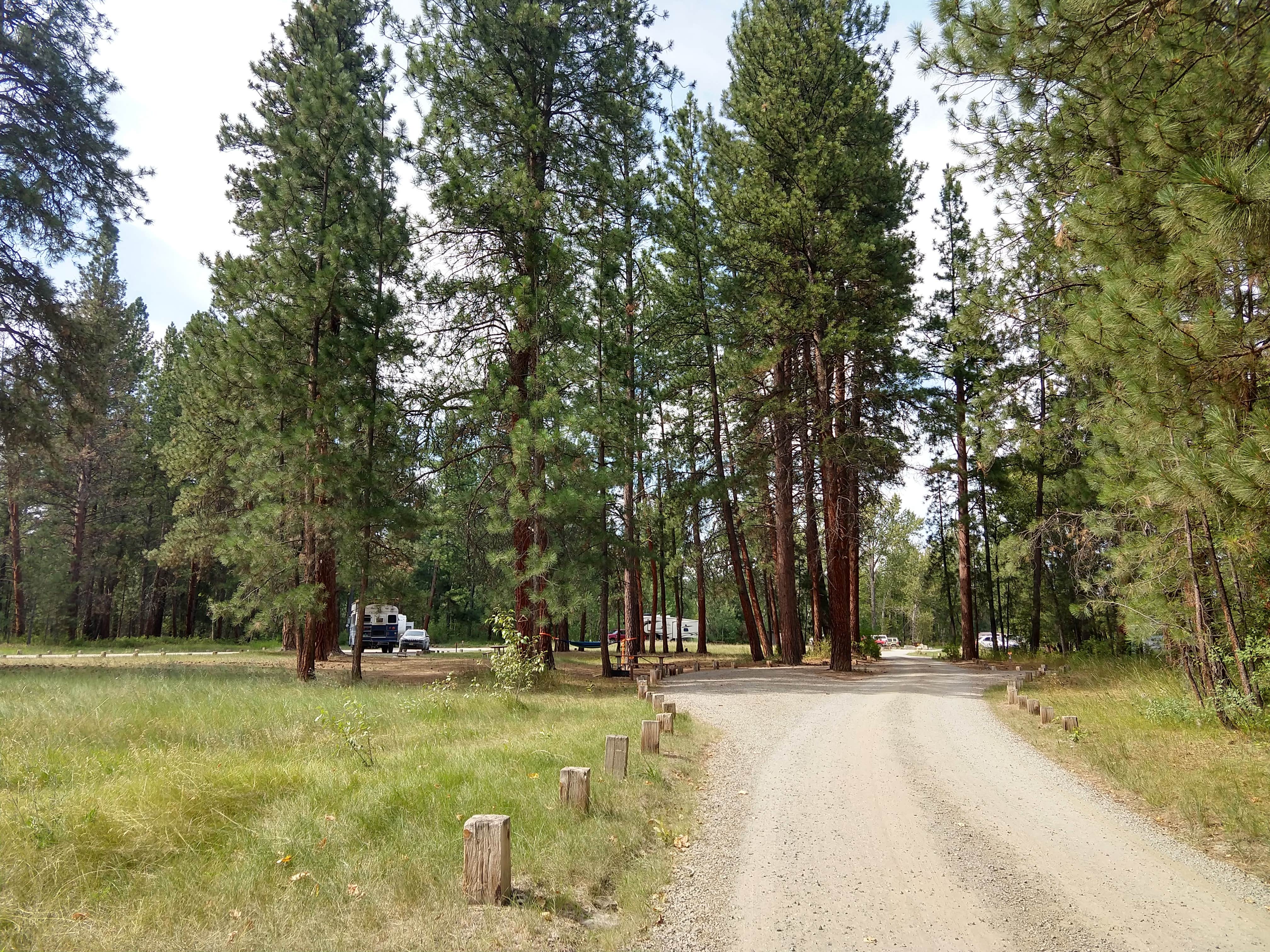 Camper submitted image from Chief Looking Glass Campground - 4