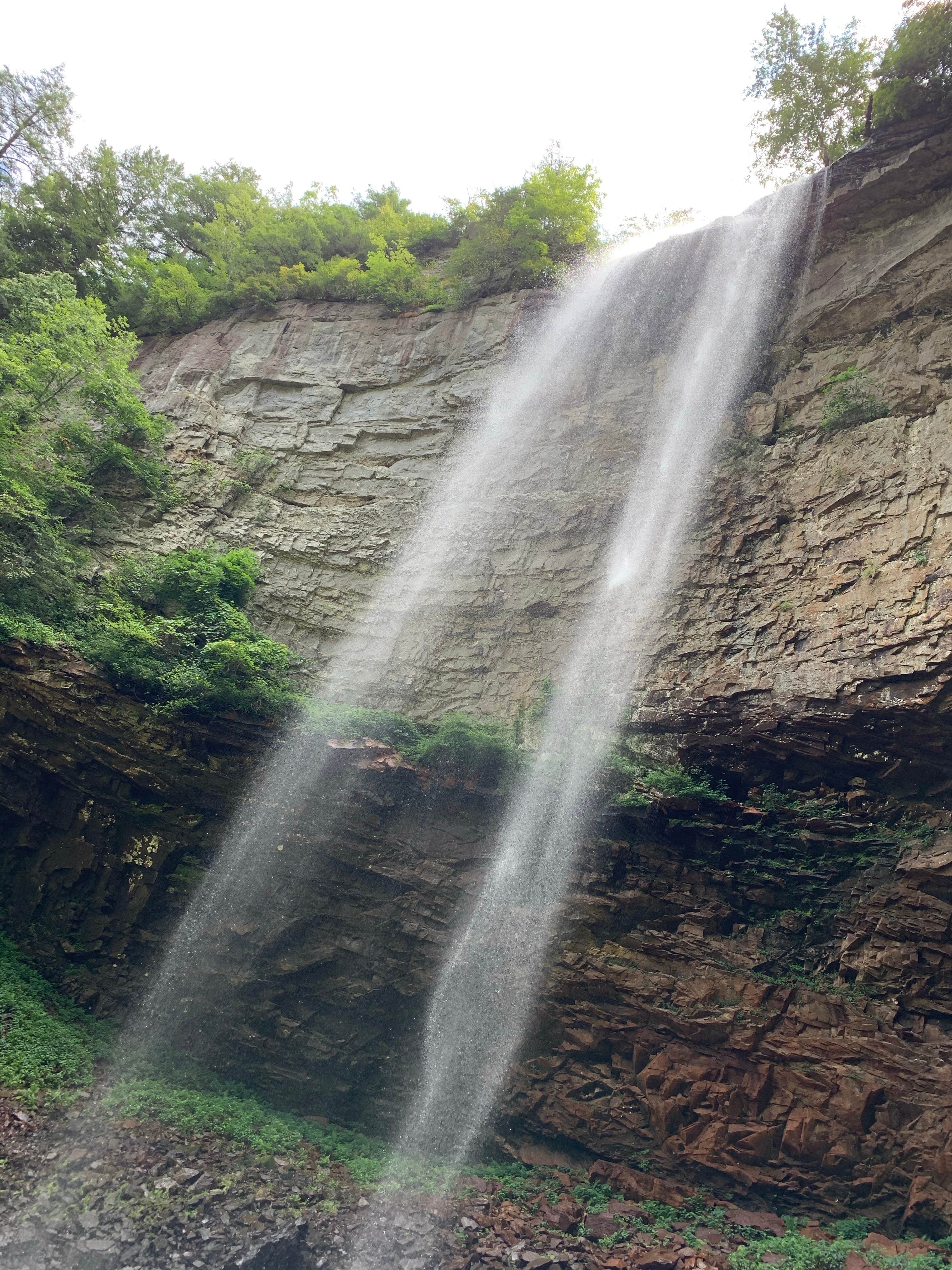 Nature