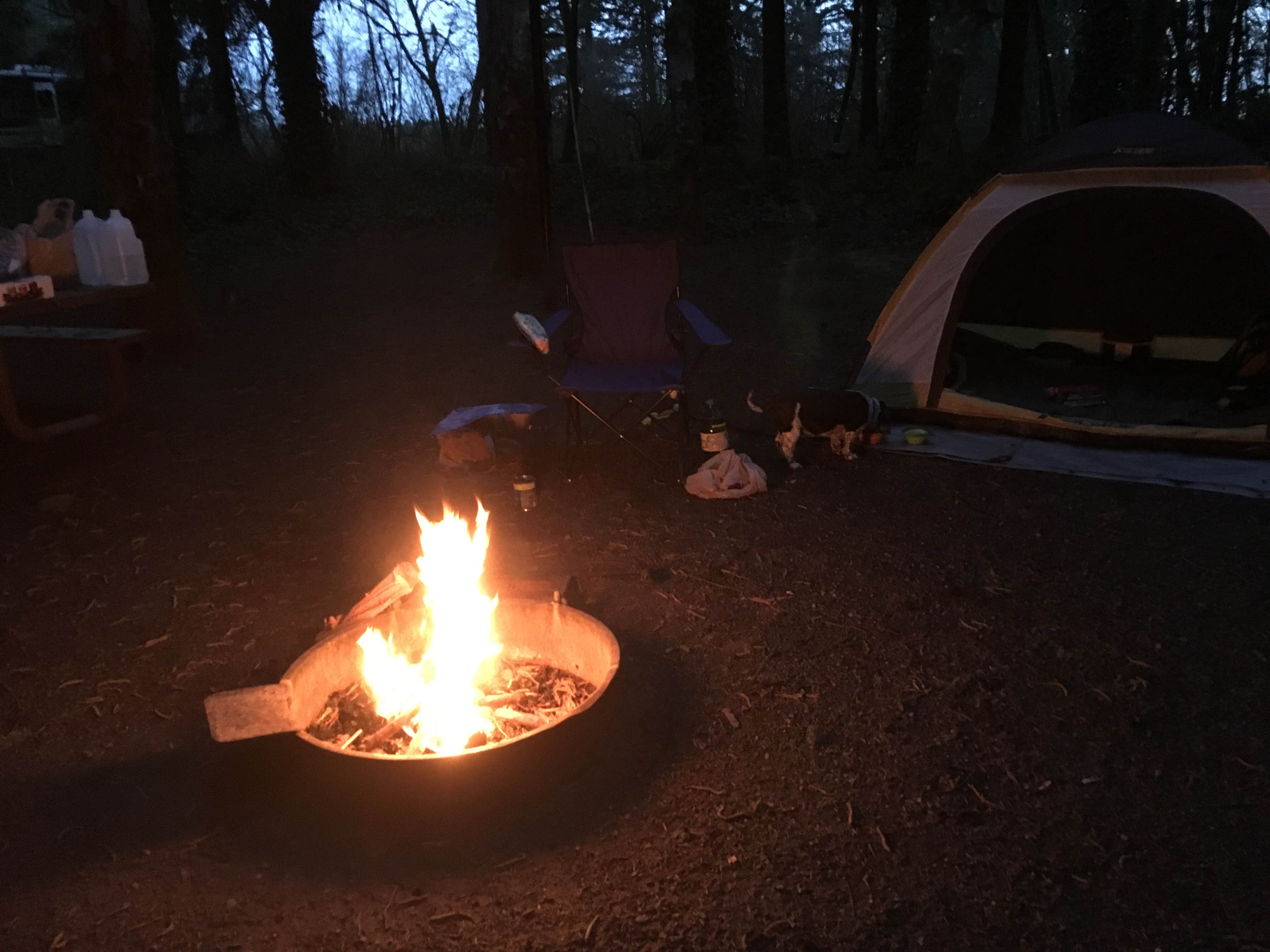 Salem L.'s photo at Battle Ground Lake State Park Campground near Heisson, WA