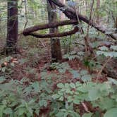 Review photo of Old Stone Church Trailhead by Christy P., July 29, 2020