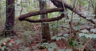 Old Stone Church Trailhead