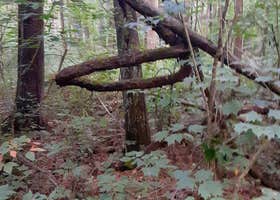 Old Stone Church Trailhead