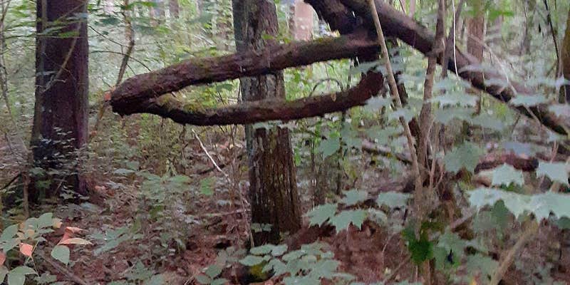 Camper submitted image from Old Stone Church Trailhead