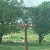 Review photo of Coneflower Campground Loop by Crystal C., July 29, 2020