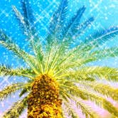 Review photo of Thousand Trails Palm Springs by Joshua R., March 31, 2018