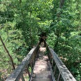 Review photo of Koomer Ridge Campground — Daniel Boone National Forest by David  K., July 29, 2020