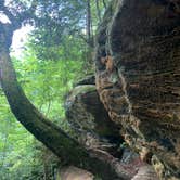 Review photo of Koomer Ridge Campground — Daniel Boone National Forest by David  K., July 29, 2020