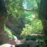 Review photo of Koomer Ridge Campground — Daniel Boone National Forest by David  K., July 29, 2020