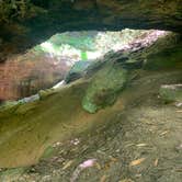 Review photo of Koomer Ridge Campground — Daniel Boone National Forest by David  K., July 29, 2020