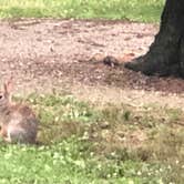 Review photo of Winton Woods Campground Hamilton County Park by Lynn B., July 29, 2020