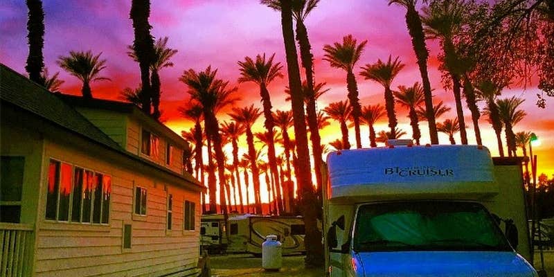 Camper submitted image from Thousand Trails Palm Springs