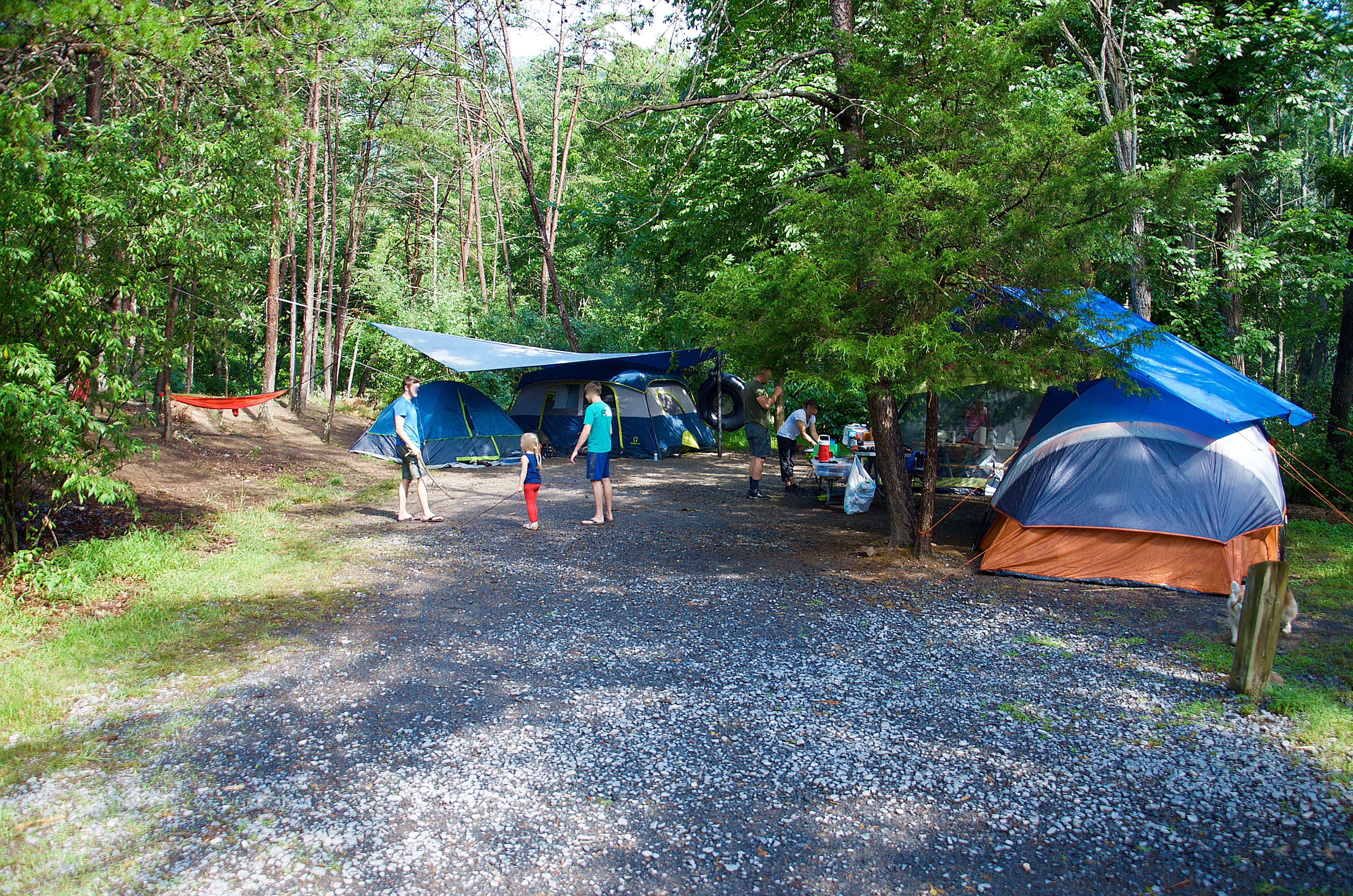 Jon C.'s photo at Big Bend Campground near Brandywine, WV