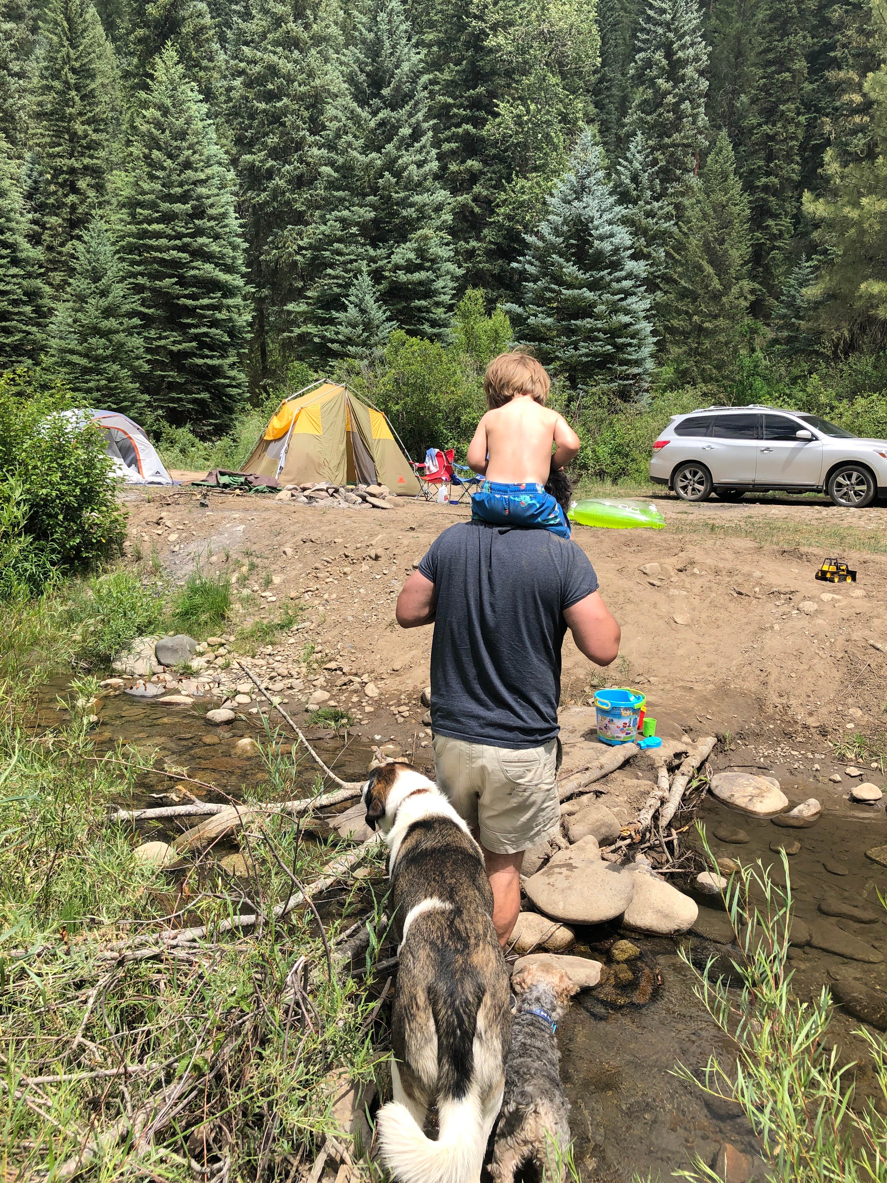Camper-submitted photo at Throughline/Coal Creek TH (Dispersed)-Paonia RD near Crested Butte, CO